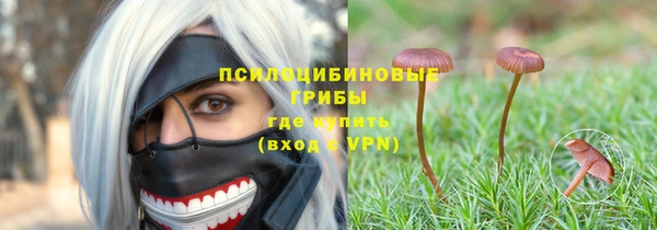 стаф Михайловка