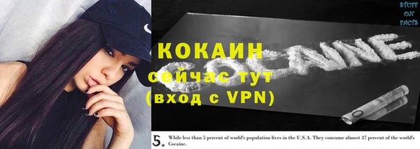 гашик Михайлов