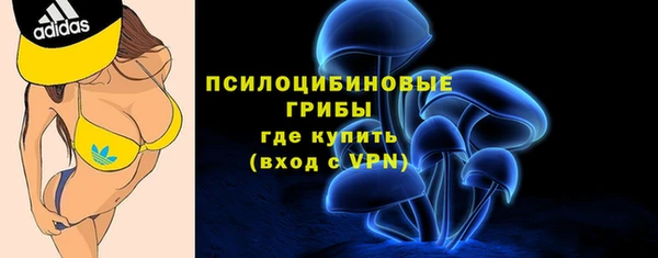 прущие крисы Михайловск