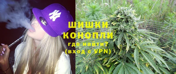 гашик Михайлов