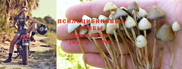 гашик Михайлов