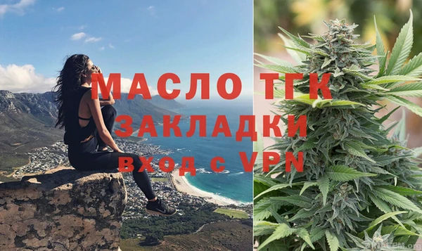 гашик Михайлов