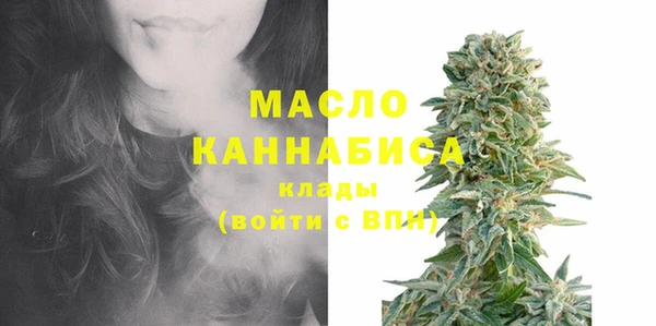 гашик Михайлов