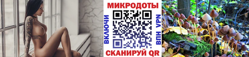хочу   Приволжск  Псилоцибиновые грибы Psilocybine cubensis 